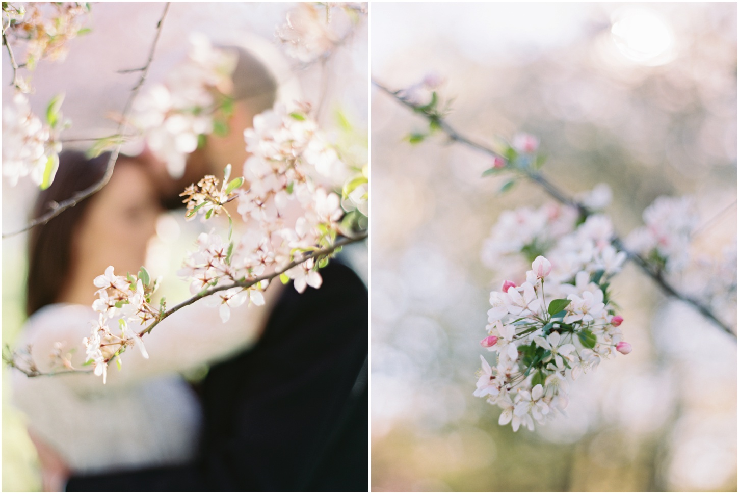 DC Cherry Blossom Wedding | Kristin Sweeting Photography